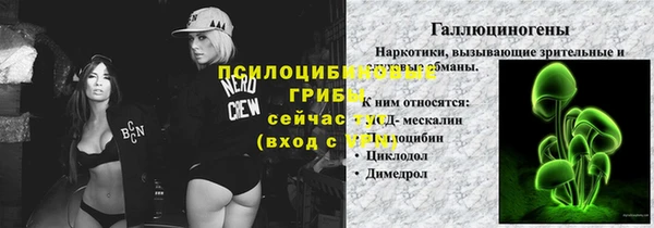 дмт Краснослободск