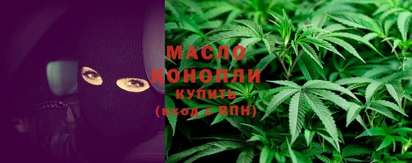 дмт Краснослободск