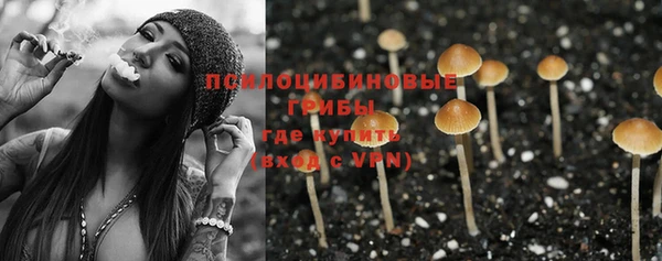 дмт Краснослободск