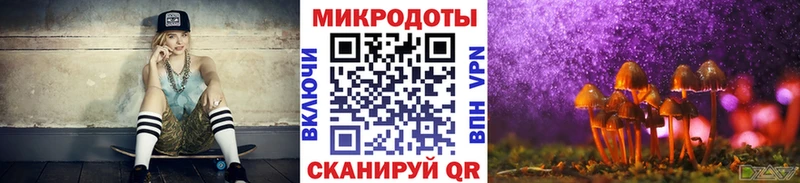 Псилоцибиновые грибы Psilocybe  Купить закладки  Николаевск-на-Амуре 